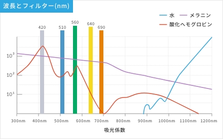 波長とフィルター(nm)